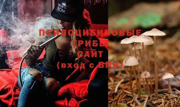 шишки Новокубанск