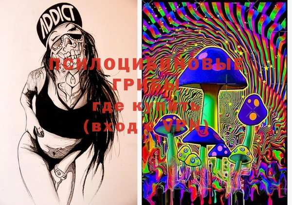 шишки Новокубанск