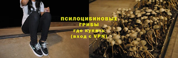 шишки Новокубанск